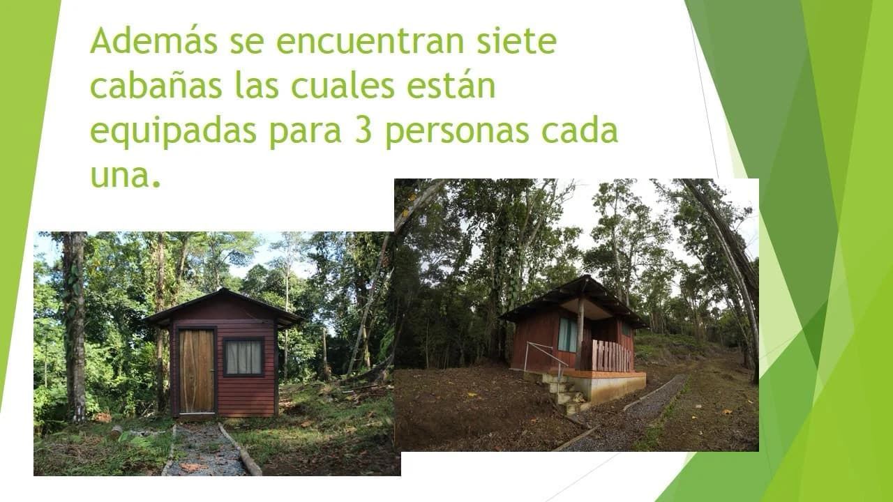 Imagen 4 de propiedad
